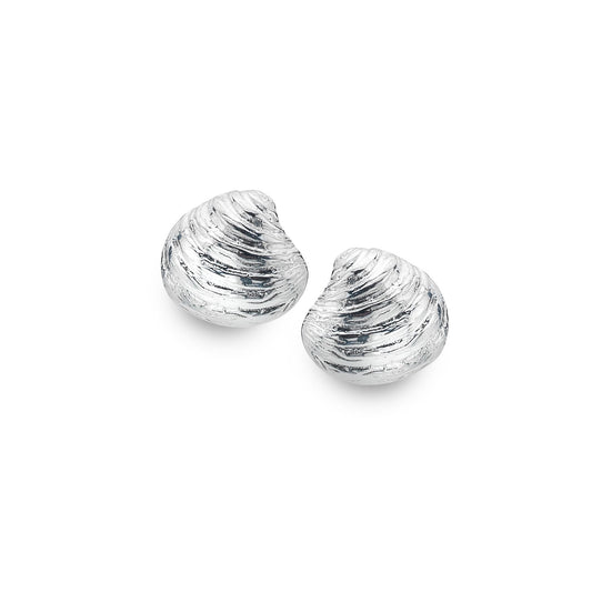 Pair of silver shell-shaped earrings on a white background 1800
