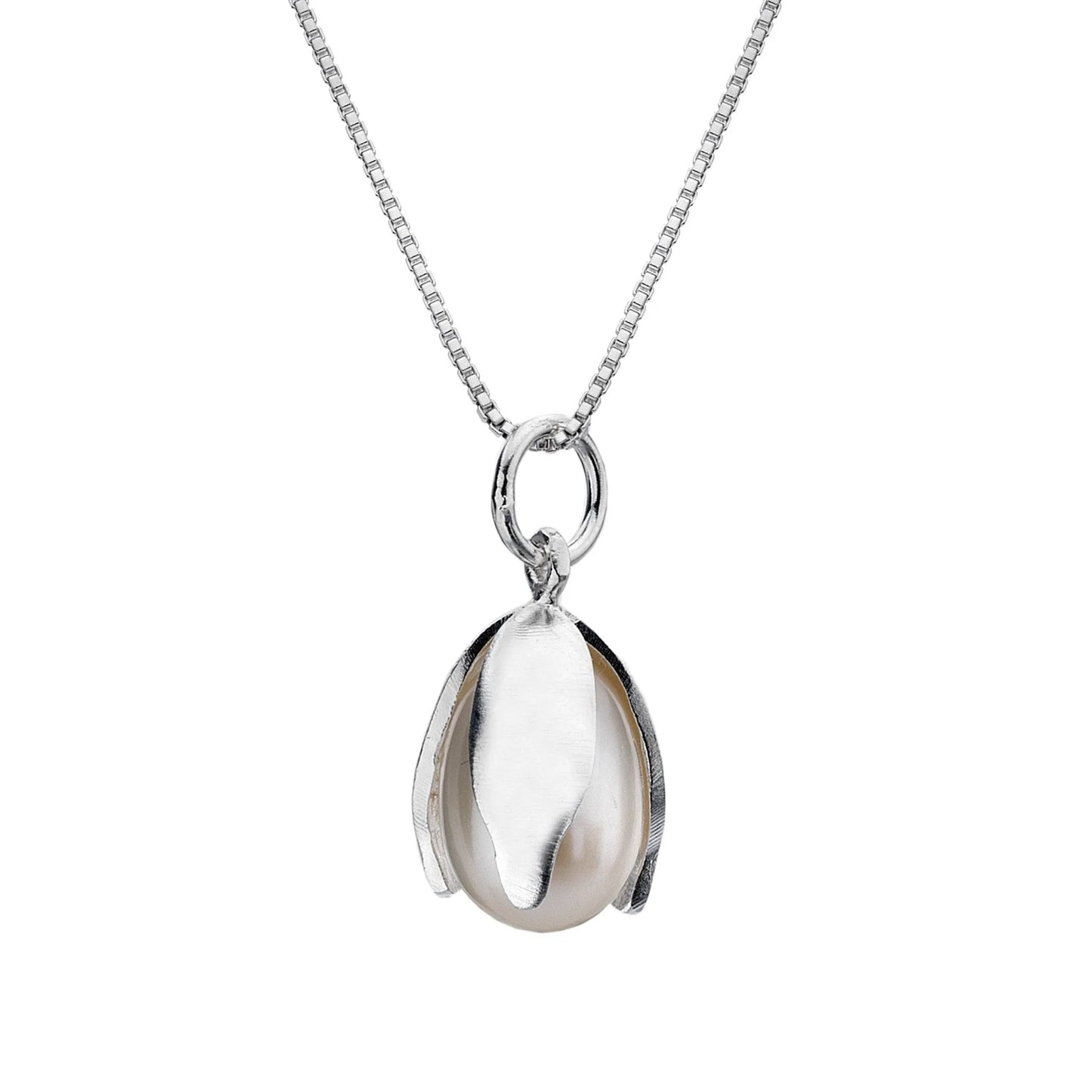 Silver pendant necklace on a white background