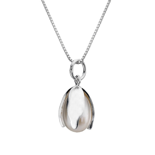 Silver pendant necklace on a white background 2048