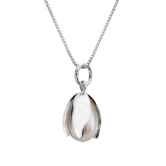 Silver pendant necklace on a white background